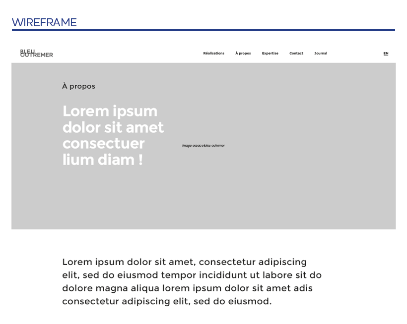 Wireframe Bleuoutremer
